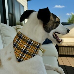 2/$15 Upcycled Men’s Shirt Dog Bandana – Handmade & Eco-Friendly